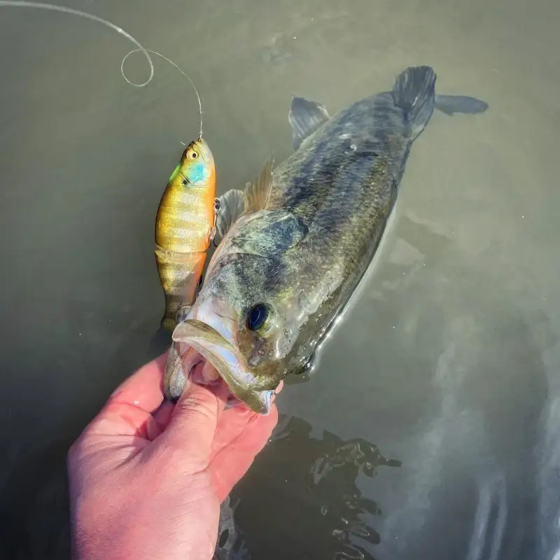 Islide Glidebait Wobblers 2025 Sinking 135mm 28g Fishing Lures Artificial Hard Jointed Glide Bait For Bass I-Slide 135 SwimBaits - Image 6