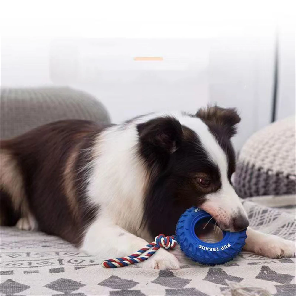 

Игрушка для домашних питомцев, резиновая резинка, Интерактивная тренировочная молар для чистки и укусов, игрушки для собак среднего и большого размера