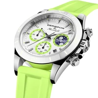 Fashion Free Shipping Woman's Watches Waterproof Ladies Watches For Women Gifts Pagani Design Quartz Wristwatch Relogio Feminino 1