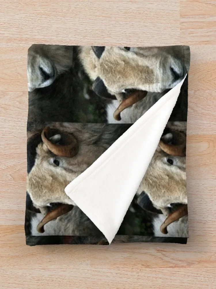 ����� ���ο� ���, ũ�������� ����, ���� ħ�� ����, ���� ���