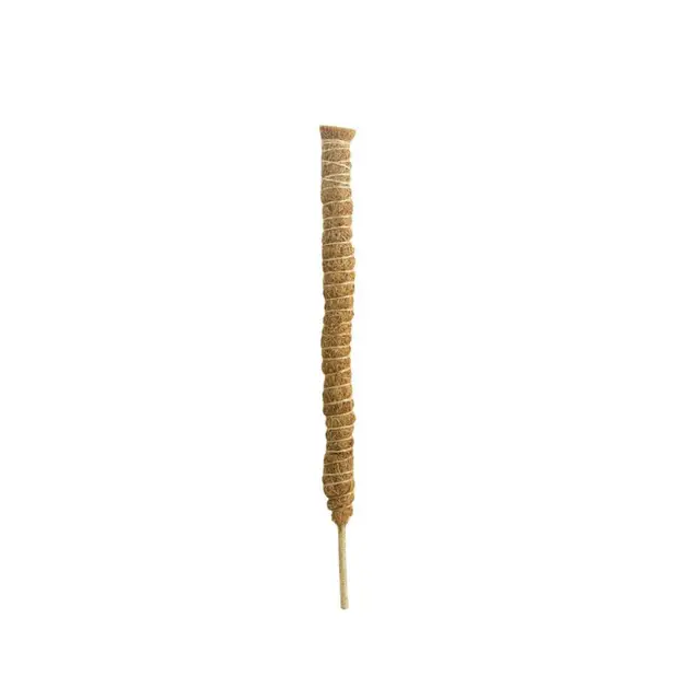 40cm