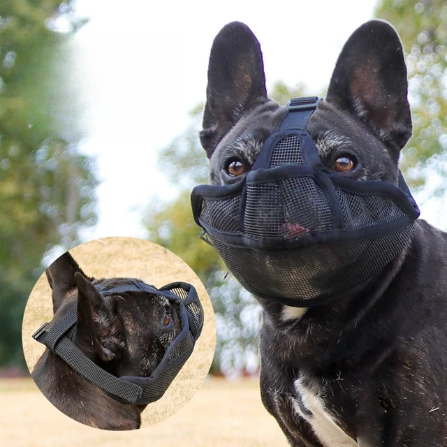 Breathable Pet Muzzle 1