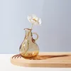 Nordic Modern Ins Style Creative Hydroponic Transparent Glass Vase Living Dining Room Desktop Decor Personalized Art Ornament 2