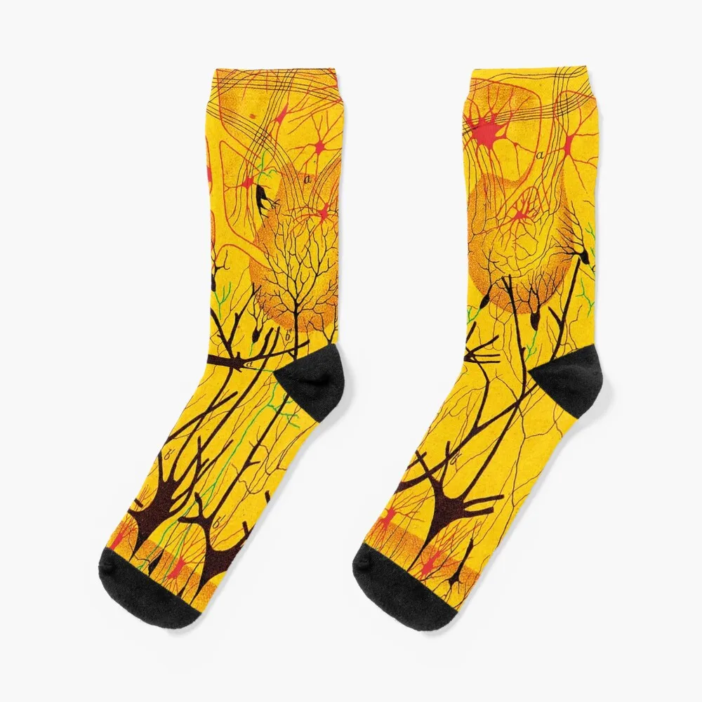 Cajal 2 Socks anime socks compression stockings Women sheer socks Socks Man Women's