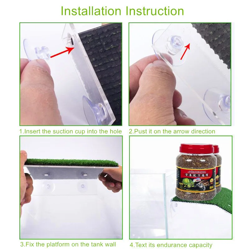 Turtle Climbing Platform with Suction Cup 3