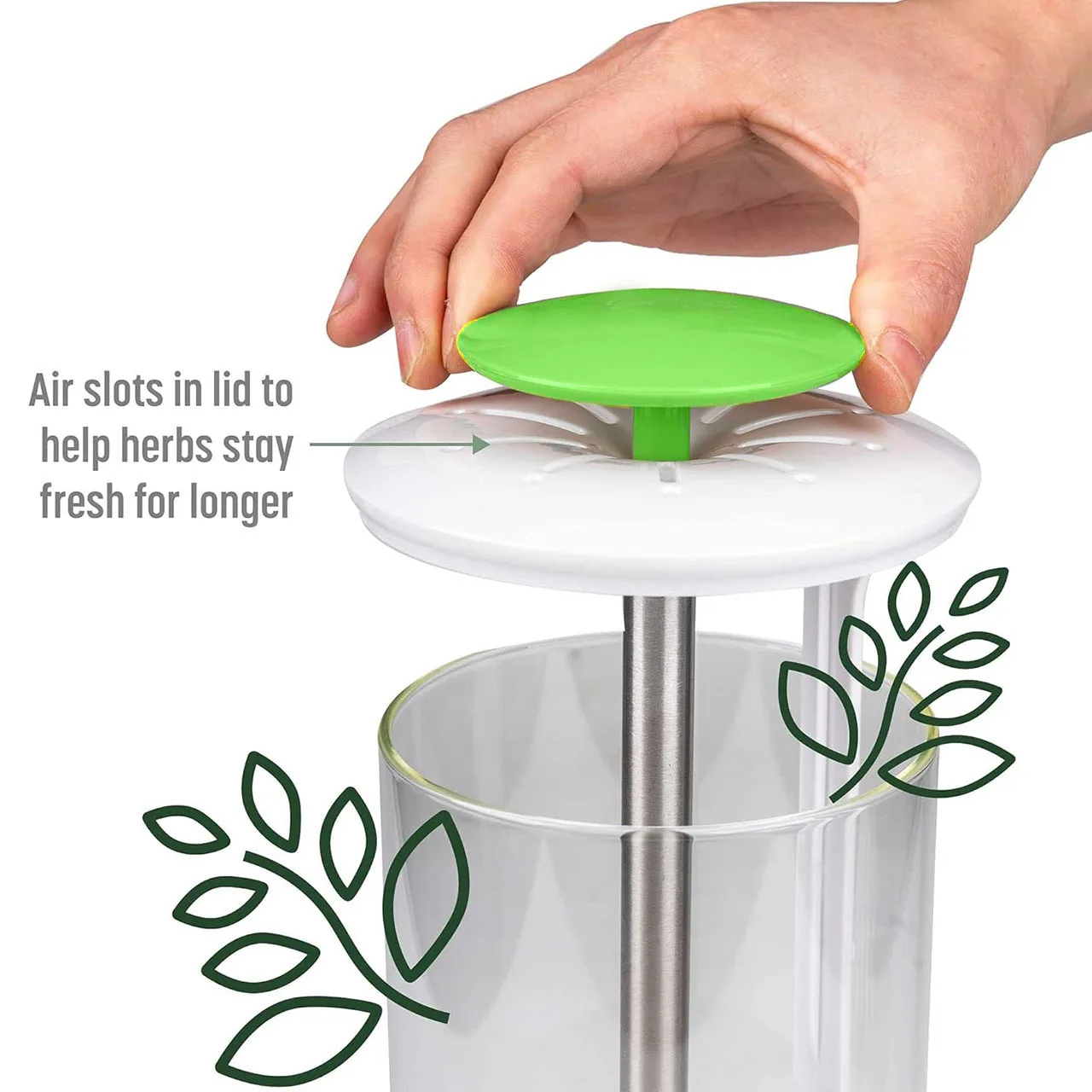 Household Clean Green Vegetable Transparent Saver Herb Cilantro Parsley Breathable Preservation Fresh Storage Container Box 2