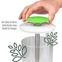 Household Clean Green Vegetable Transparent Saver Herb Cilantro Parsley Breathable Preservation Fresh Storage Container Box 2