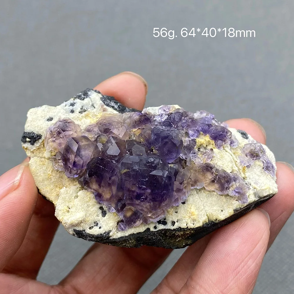 Tanzanite Blue Fluorite Mineral Specimen Cluster Stones Crystals