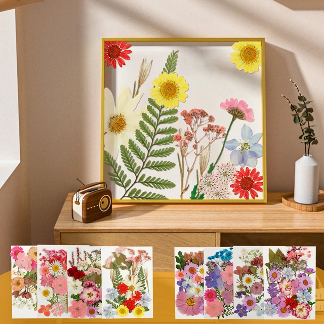 Fiori Secchi Naturali 66 Pezzi SUPRROW | Per Resina, Gioielli E Scrapbooking | Colori E Forme Varie