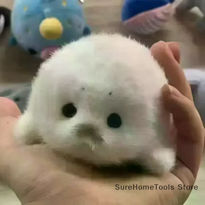 1pc Cute Baby Seal Plush Toy Pendant Simulation Ocean Animal Soft Stuffed Bag Keychain Souvenir Gift Kids Adults Bag Decoration