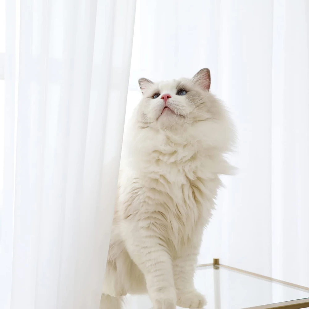 Solid White Sheer Tulle Curtains 2