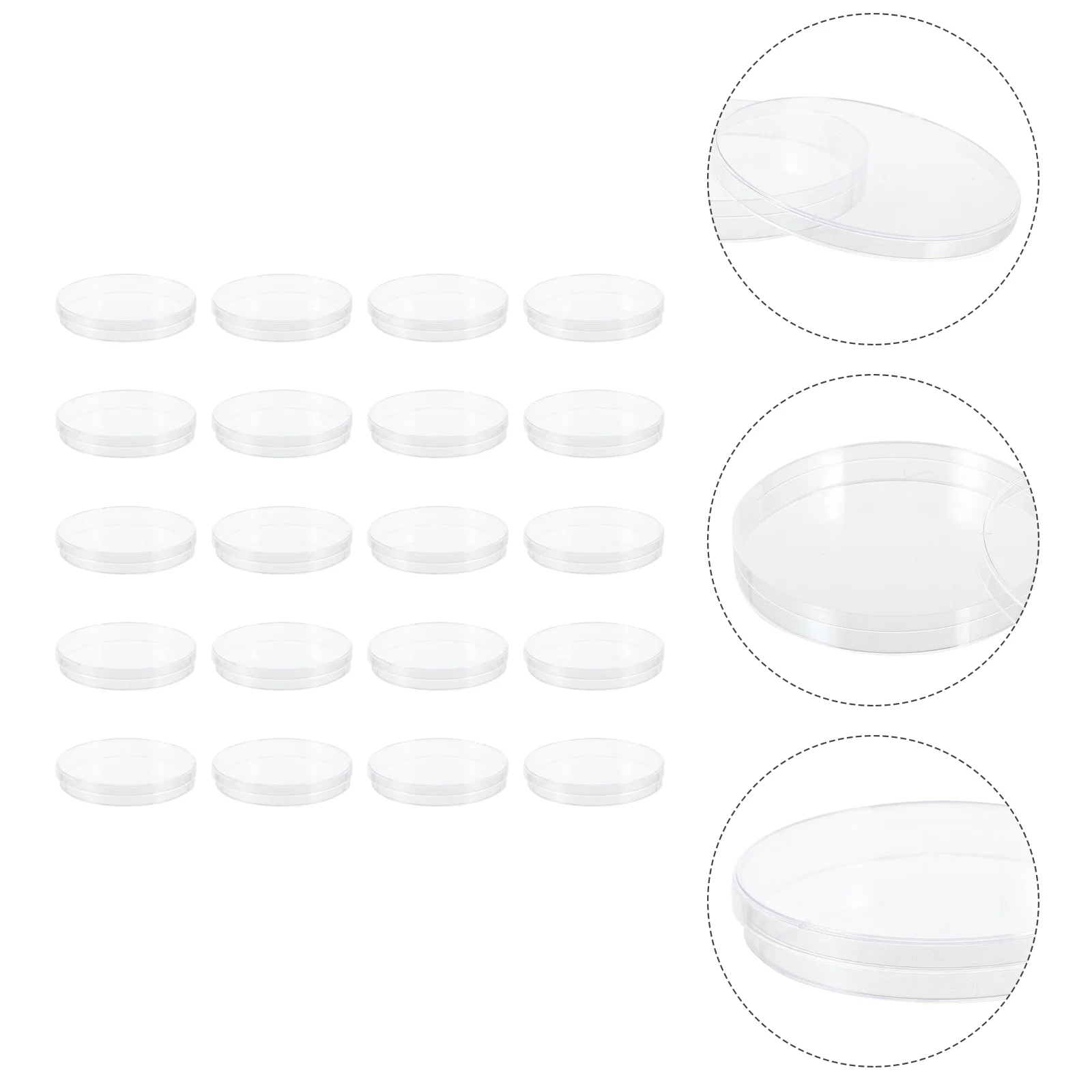 

20 Pcs Petri Dish Laboratory Transparent Dishes with Cover Culture Plastic Clear