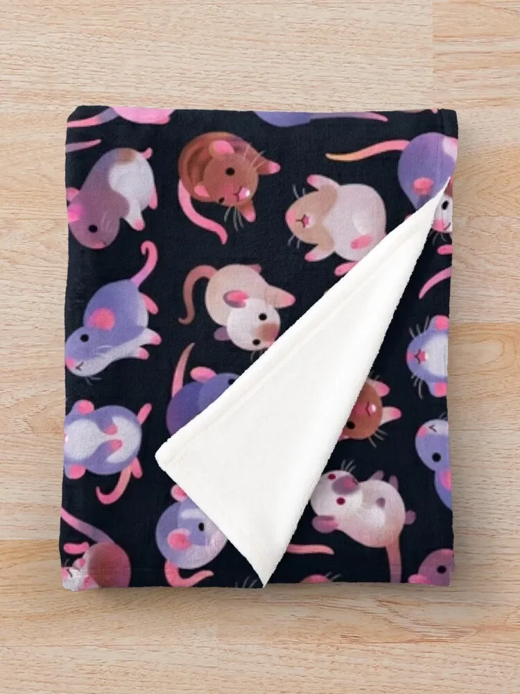 ���� �� ��ο� ������ ���, ķ�� ��� ���� �̺� ���