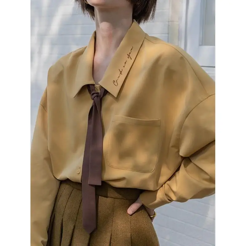 

Fashion new letter embroidered long sleeved shirt women French casual shirt design niche long sleeved top spring and autumn y2k