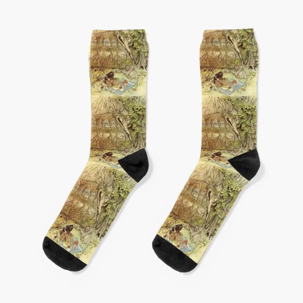 

Rat and Mole Have a Picnic - The Wind in the Willows - Arthur Rackham Socks summer short Men Socks Women's