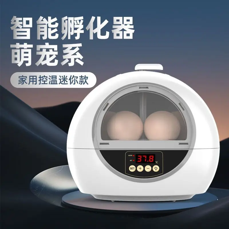 

Intelligent Mini Home Water Bed Incubator - Rudin Chicken Duck Quail Pigeon