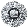 Image 18
