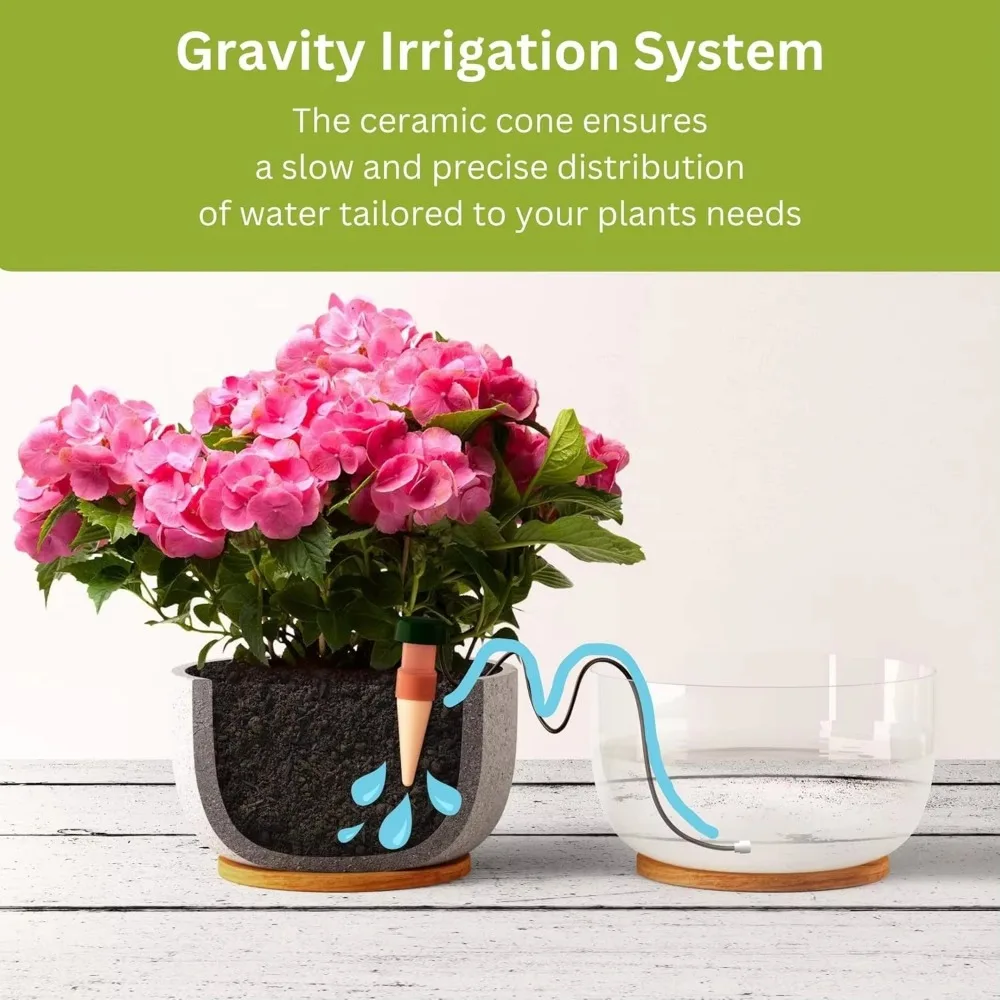Self-Watering Plant Stakes 5