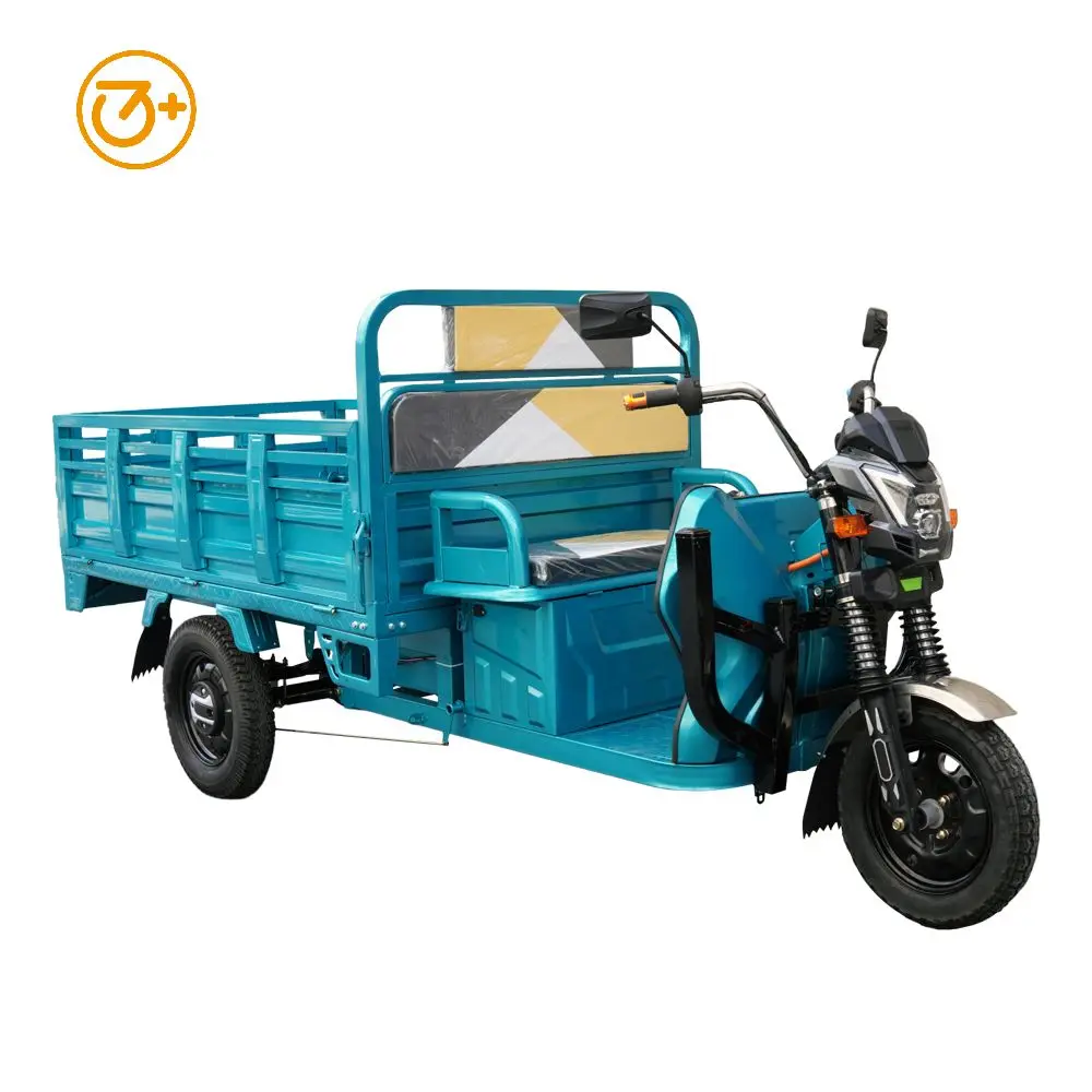 1.8M*1.2M Big Electric Tricycles For Sale Three Wheel Electric Cargo Bike For Adults