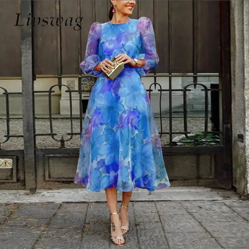 

Elegant 3D Flower Print Women Long Dress Autumn O Neck Puff Long Sleeve Mesh Dress 2023 New Fashion Ladies Waisted A-Line Dress