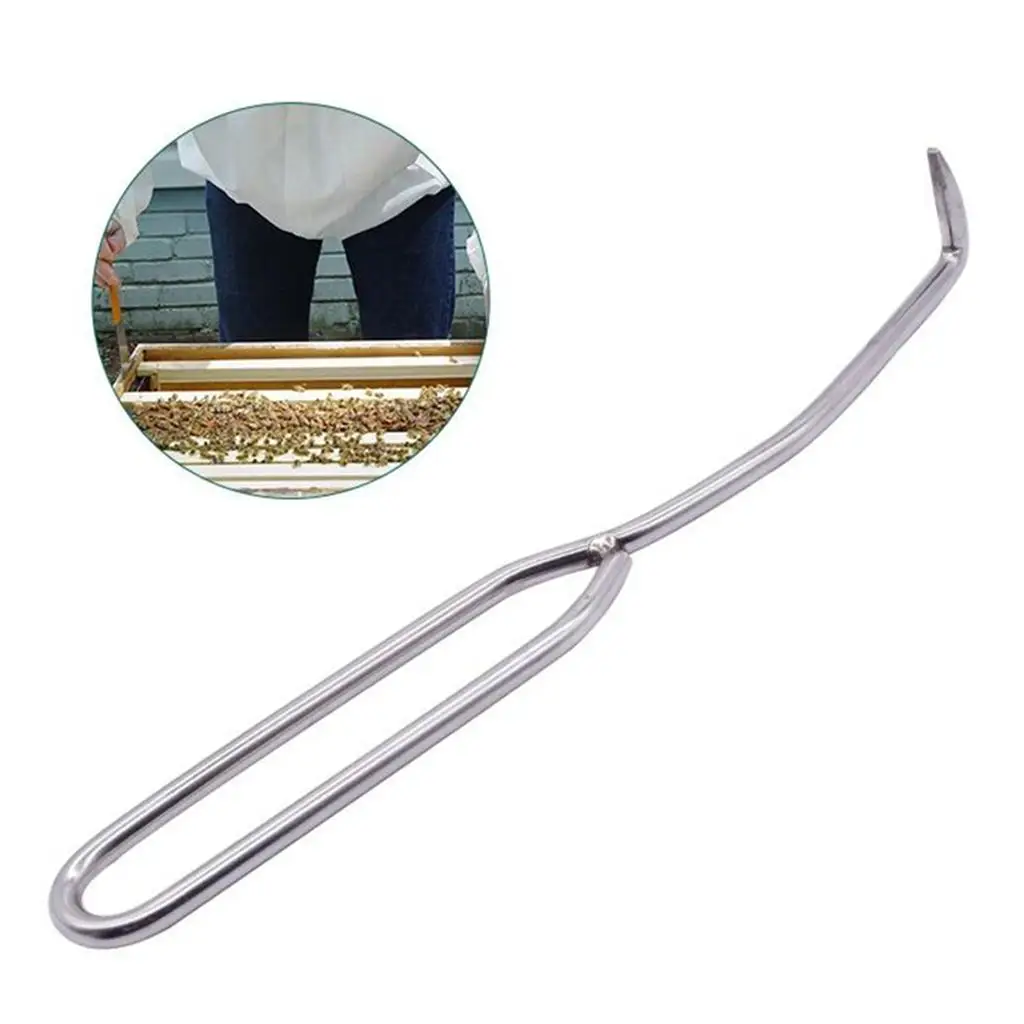 Durable Beekeeping Needle Queen Rearing Grafting Tool Stainless Steel Double Head Grafting Tool Bee Hive Scraper Beekeeper