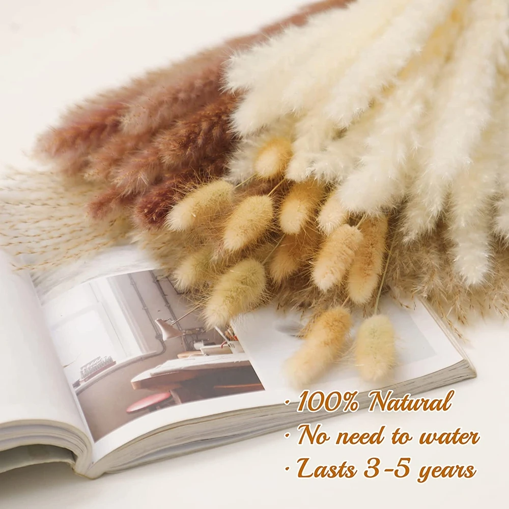 100Pcs/lot 60cm Fluffy Natural Dried Pampas Grass Set Decoration Tall Pampa Dried Flowers Bouquet Boho Home Garden Wedding Decor