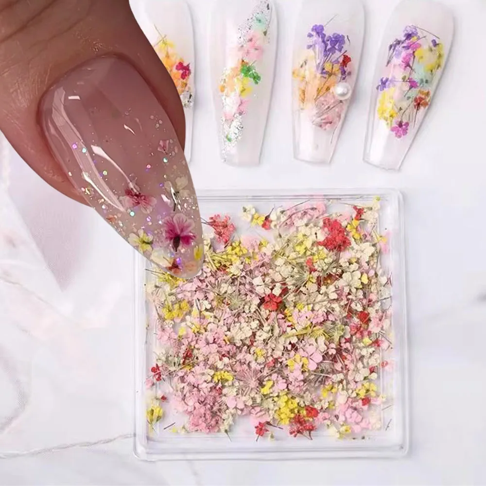 

3D высушенные цветы, цветочные аксессуары Y2K, 1 коробка