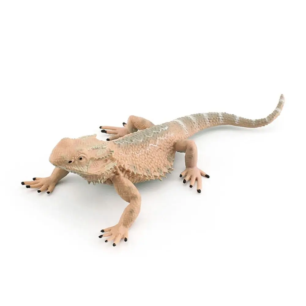 Scorpion Simulation Wild Reptile Model Handmad Collectible Lizard Action Figures Ornament Statue Reptile Amphibious Figurines