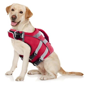 Dog Life Jacket 1