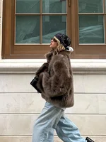 Winter Women Warm Faux Fur Coats Fashion Browns Long Sleeve Stand Collar Short Jackets 2025 Lady High Street Commute Outerwear 5