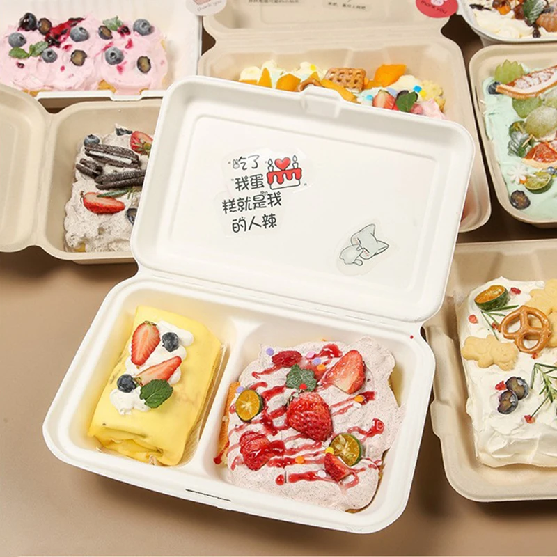 10pcs Disposable Packaging Lunchbox Vegetable Fruit Salad Bento Boxes Dessert Cake Food Containers Burger Boxes for Picnic