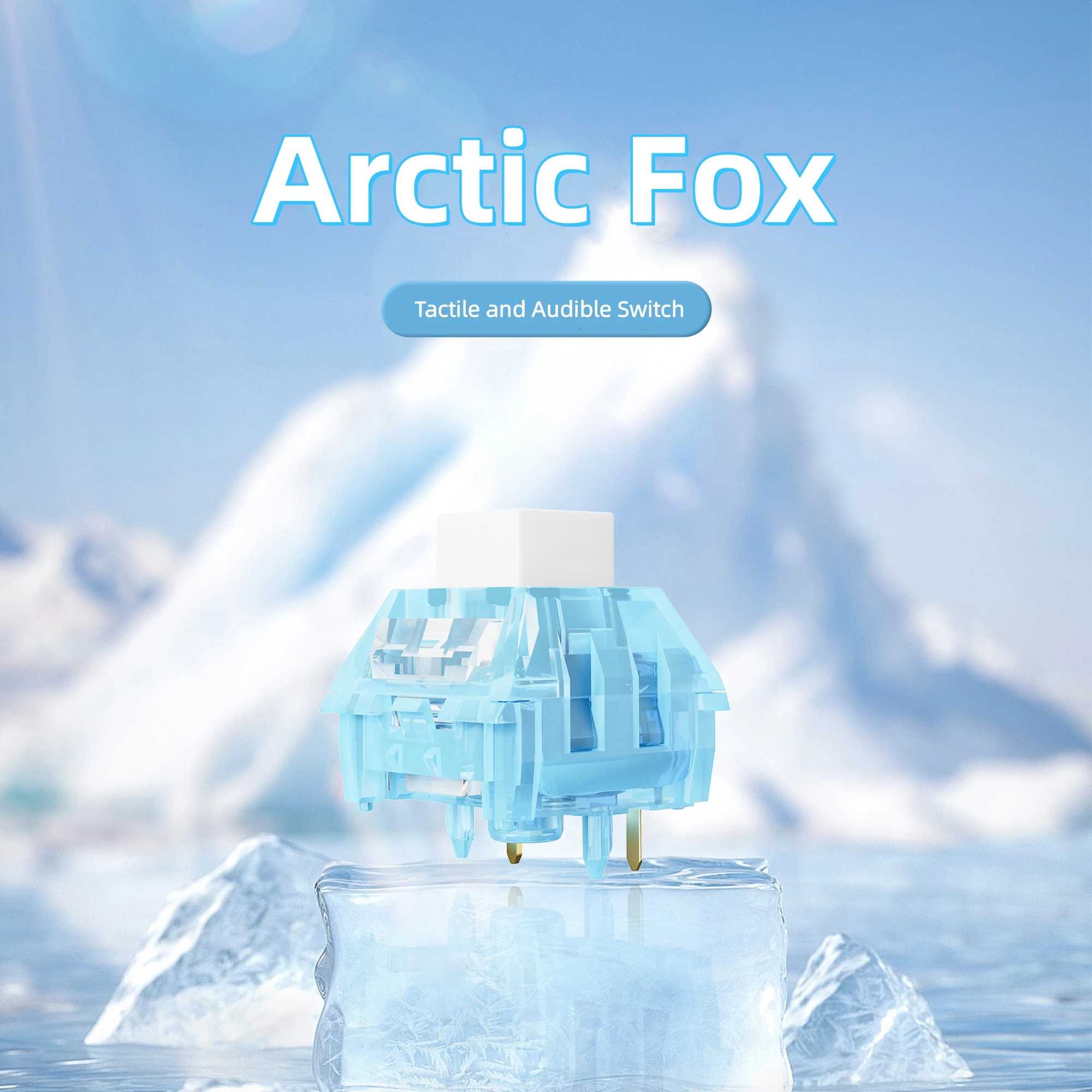 Kailh Arctic Fox Clicky RGB 5-Pin Mechanical Keyboard Switches with Light Guide