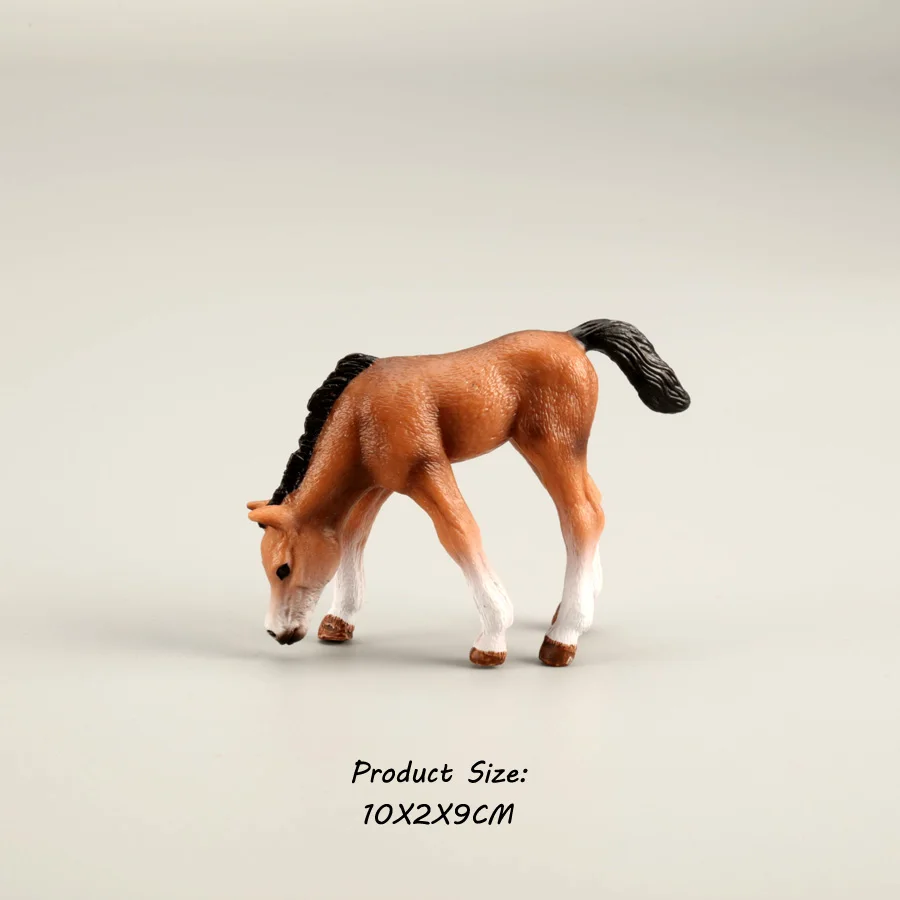 Horse 10