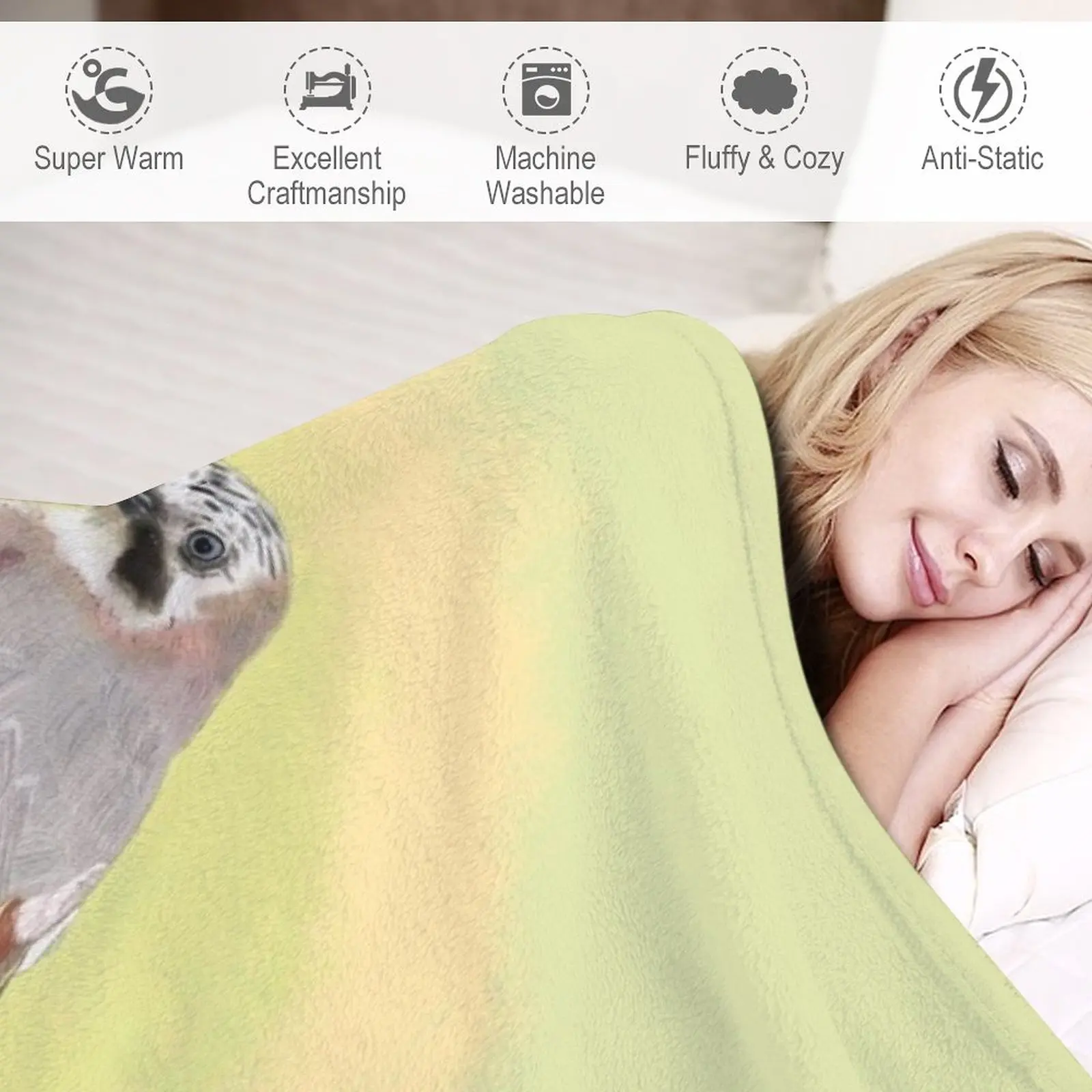 ����þ� ���� ���ο� ���, ���� ���� ���, ���� �̺�, �ʴ��� ���ο� ���