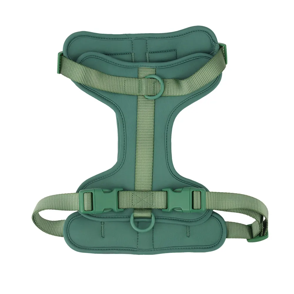 Breathable Lightweight Dog Harness with Adjustable Chest Strap for Outdoor Walks and Training