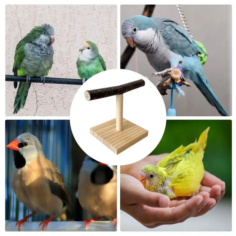 Wooden Parrot Perch T Stand Bird Training Paw Grinding Toys Pet Cockatiel Cage Nest Play 5