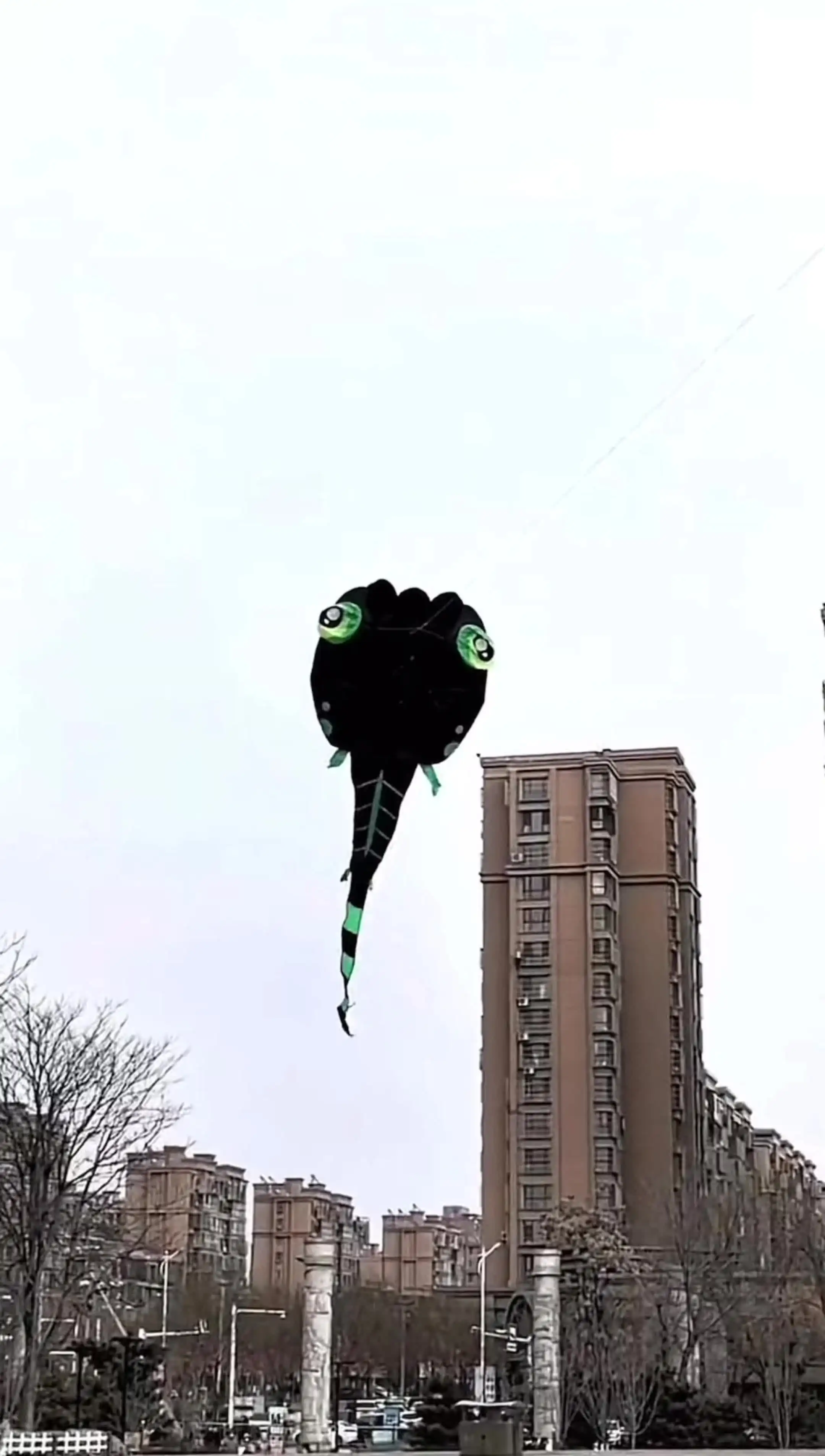 Воздушный змей Tadpole черный нейлон