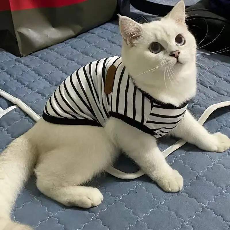 여름 고양이 강아지 옷 클래식 스트라이프 애완동물 민소매 조끼 소형견 고양이 새끼 고양이 풀오버 의류