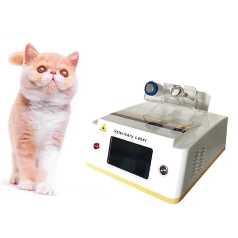 

Slimming Machine 980Nm Laser Dog Therapy Wound Healing Acne Treatment Machine 980 Laser Veterinary Use Beauty Machines For Sale