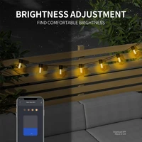 G40 Smart Outdoor DIY LED String Lights Remote Control Lights Bulbs for Patio Garden Outside Backyard Christmas decoration - Image 2