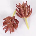 1Pcs-25
