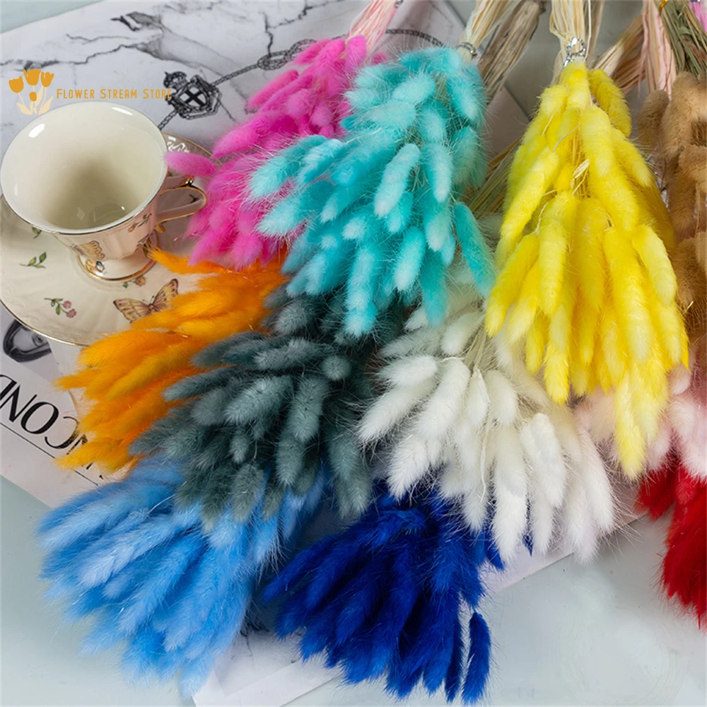 

100Pcs Natural Pampas Rabbit Grass Dried Flower Bunny Tail Grass Bouquets Real Floral Photo Props Boho Wedding Home Decoration