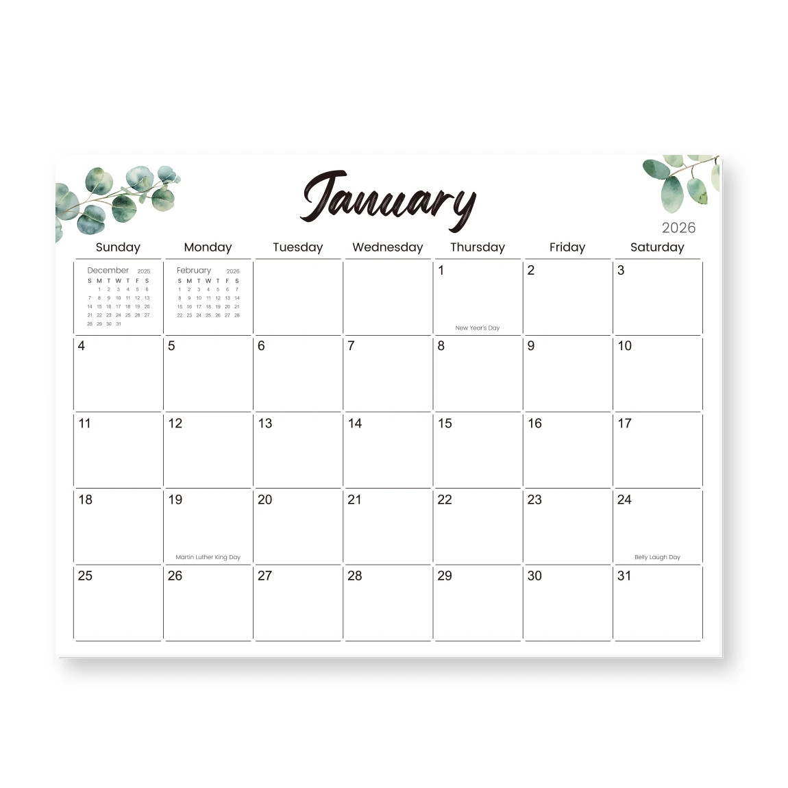 Kalendarz magnetyczny na lodówkę na rok 2026, 12-miesięczny planer ścienny z miesięcznym widokiem, kalendarz kuchenny na lodówkę z motywem eukaliptusa