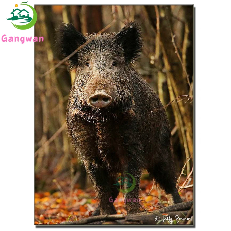 5D Full Square Round Diamond Painting Wild Boar Cross Stitch Diamond Animal Picture Rhinestone Embroidery Home Decor