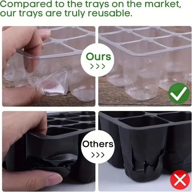 12-Well Seedling Tray 6
