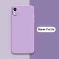 Grass Purple