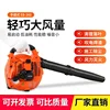 Handheld Gasoline Blower Dust Removal Leaf Waterproof For EB260 Small Construction Snow Factory Direct Sales 2