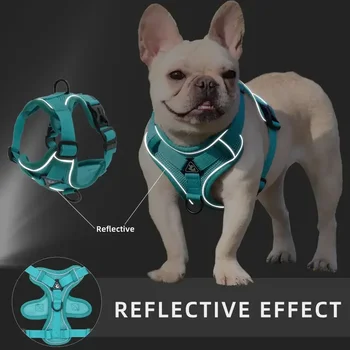 No-Pull Reflective Dog Harness Set 5