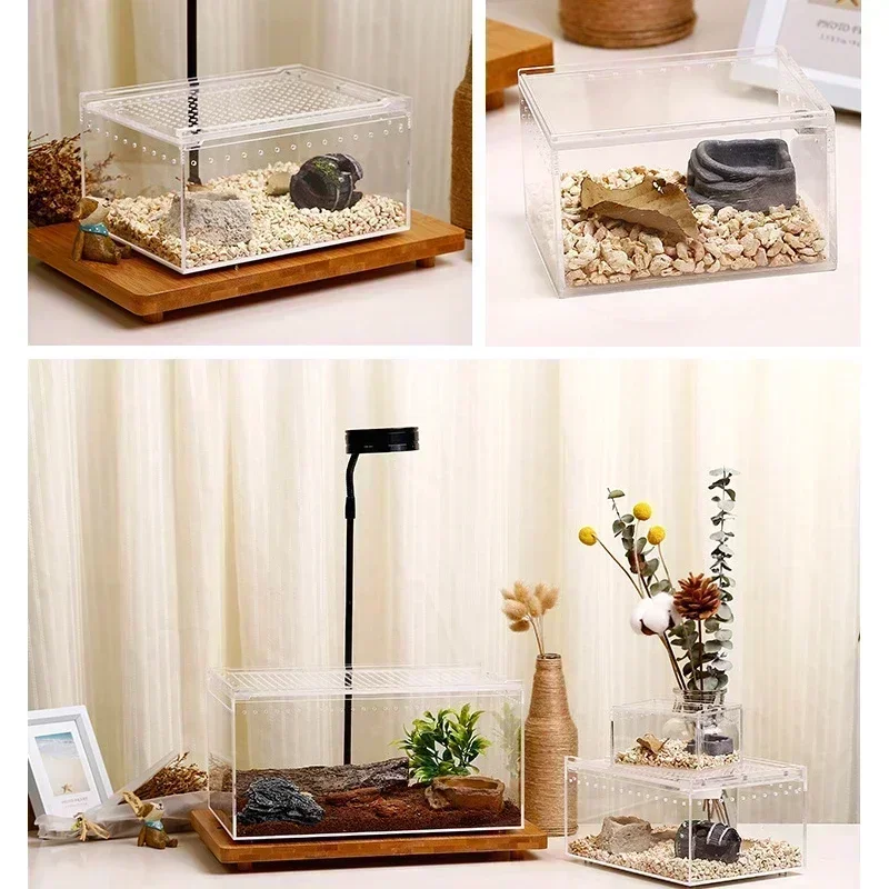 Reptile Habitat Terrarium Breeding Box Transparent Acrylic Leak-proof Cage Insect Feeding