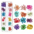 12 grids flowers